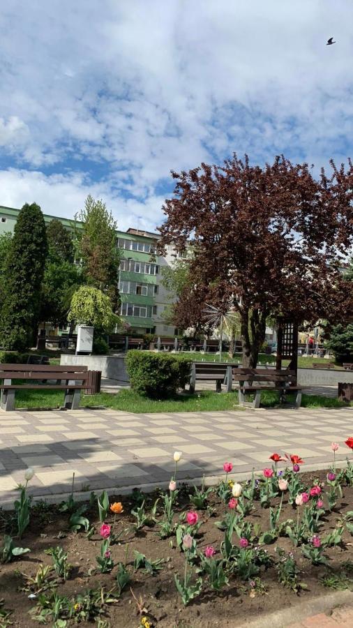 Best Apartment City Hall Suceava Exterior foto