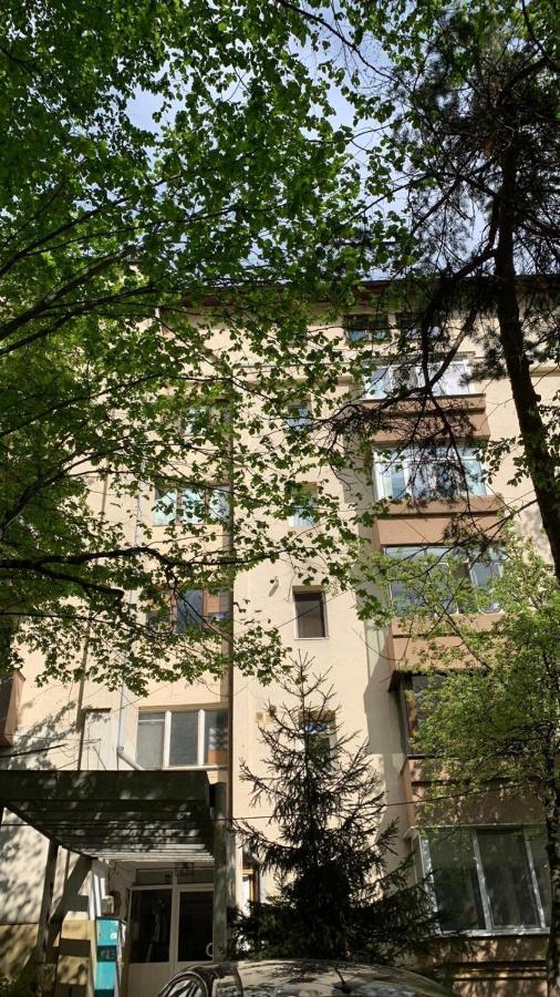 Best Apartment City Hall Suceava Exterior foto