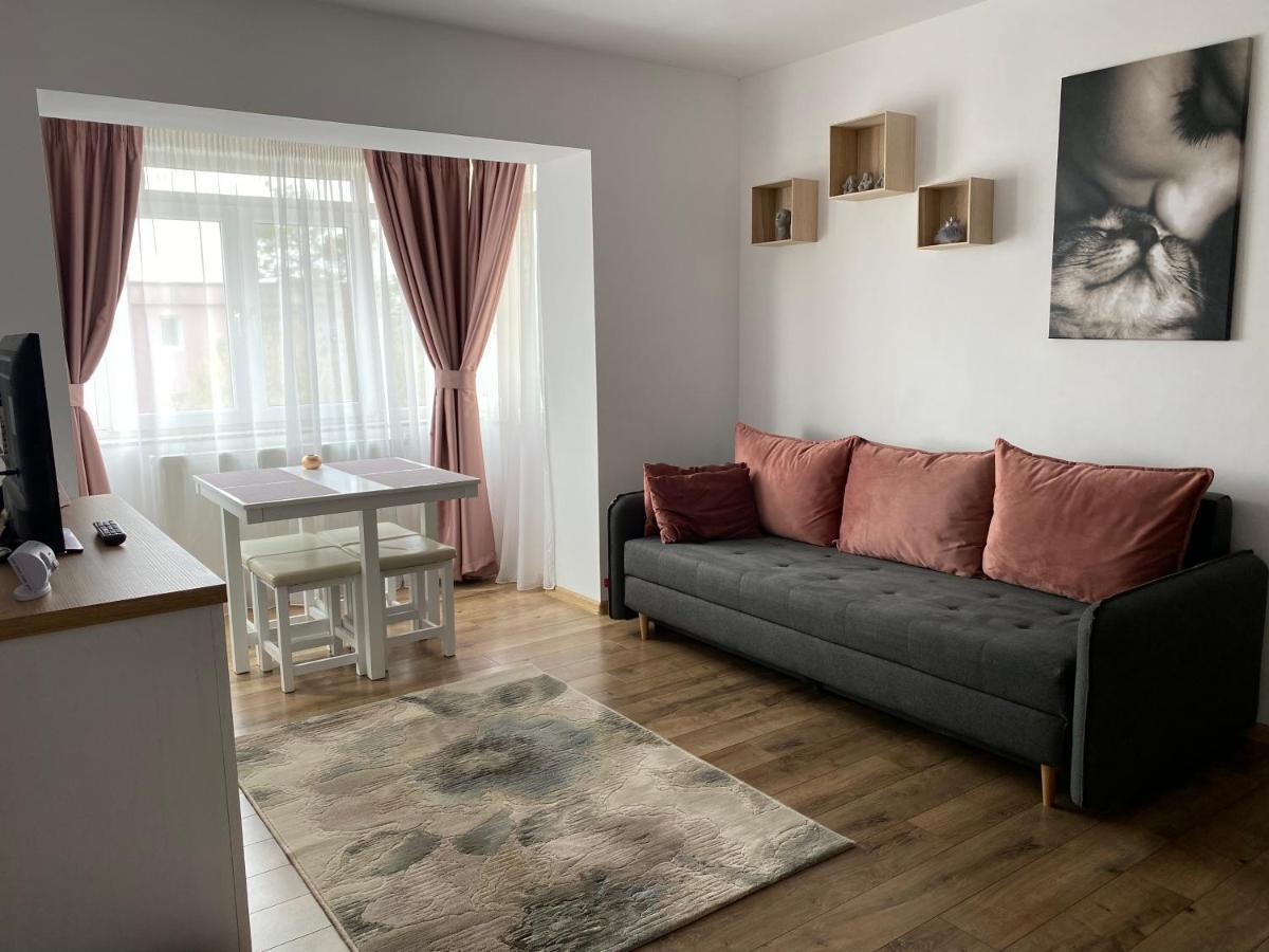 Best Apartment City Hall Suceava Exterior foto